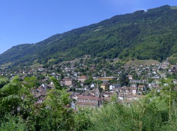 Tour Zu Fuß Allevard - sentier du fer - Photo