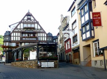 Percorso A piedi Rüdesheim am Rhein - Rheingauer Klostersteig Zuweg Assmannshausen - Photo