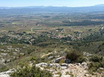 Trail Walking Puyloubier - Puyloubier : St Ser-col des Portes - Photo