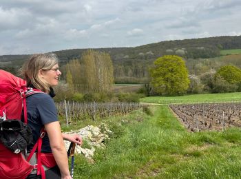 Excursión sport Montmort-Lucy - Dag 4 Lucy - Abbaye Notre Dame du Reclus - Photo