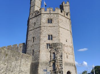 Tocht Stappen  - Ballade le long de la voie ferrée du train touristique de Caernarfon  - Photo