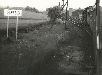 Percorso A piedi Rosendahl - Rundweg Darfeld D2 - Photo