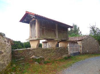 Percorso Marcia Palas de Rei - Camino Francés - Etp31 - Palas de Rei - Arzua - Photo