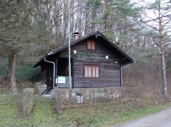 Trail On foot Gemeinde Heiligenkreuz - Parkplatz Augustinerhütte - Hoher Lindkogel - Photo