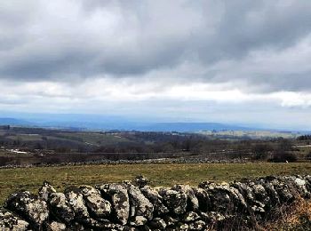 Tour Wandern Condom-d'Aubrac - Condom_Aubrac_Enguilhems - Photo