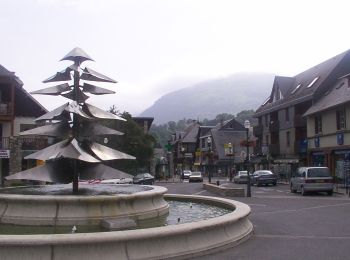 Tour Zu Fuß Saint-Lary-Soulan - Boucle de Caneilles - Photo