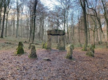 Tour Wandern Hoeilaart - De Grœnendaal à Rhode-St-Genèse  - Photo