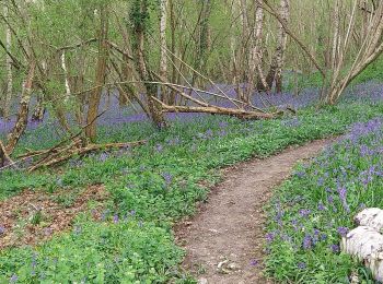 Randonnée Marche Nassandres sur Risle - Nassandres - Photo