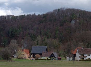 Tocht Te voet Pottenstein - Rundweg Pottenstein-Waldacher Forst - Photo