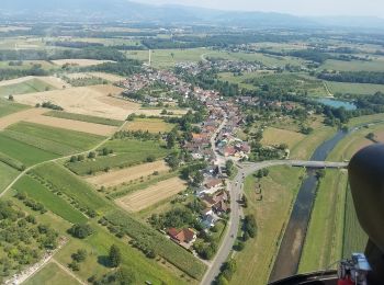 Tocht Te voet Rheinau - Geschichts- und Naturlehrpfad - Photo