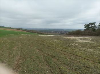 Tocht Stappen Laines-aux-Bois - Balade chemins forêts - Photo