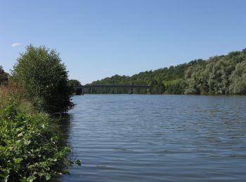 Randonnée A pied Dommartin-lès-Toul - Circuit du Luxembourg - Photo