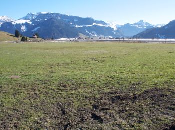 Tour Zu Fuß Einsiedeln - Euthal - Heitligeer - Photo