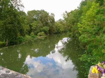 Tour Wandern Courçay - Courçay - Reignac-sur-Indre - 14.1km 145m 3h05 - 2020 06 20 - Photo