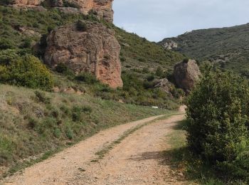 Tocht Stappen Agüero - Tour des mallos de Agüero  - Photo