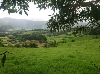 Tocht Stappen Furnas - pico et lac furnas - Photo