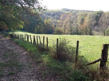 Randonnée Marche Vienne - 2023-10-08 - St Alban les Vignes - La Balme -  Les Barres - Photo