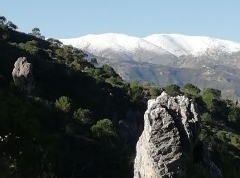 Trail Walking Lentegí - les arbres petrifies - Photo