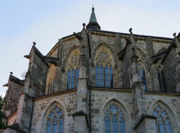 Excursión A pie Gemeinde Zwettl-Niederösterreich - Der Prinzensteig 1 - Photo