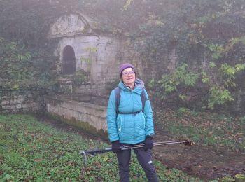 Excursión Senderismo Poligny - Poligny Barretaine 5km - Photo