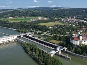 Percorso A piedi Gemeinde Ybbs an der Donau - Panoramarundwanderweg Ybbs - Photo