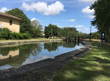 Randonnée Marche Ayguesvives - Canal du midi 31719 - Photo