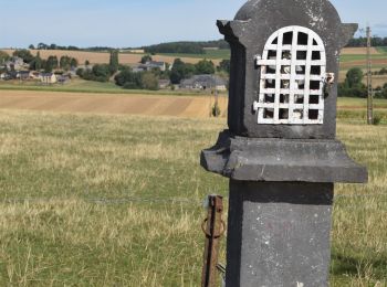 Tocht Stappen Yvoir - RB-Na-21-raccourci-Terres seigneuriales et carrières de la vallée du Bocq - Photo