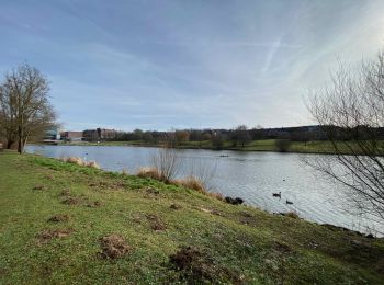 Trail Walking Ottignies-Louvain-la-Neuve - Ottignies - Louvain-la-Neuve - Photo