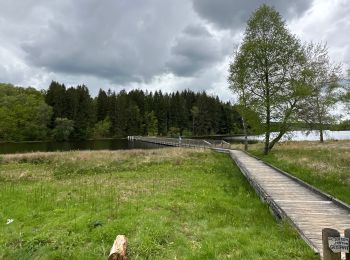 Randonnée sport Faux-la-Montagne - Tour du lac de Vassiviere - Photo