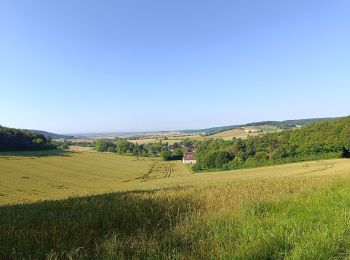 Randonnée Marche Sommeval - Sommeval Forêts Chemins - Photo