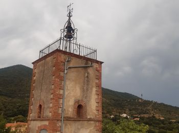 Tour Wandern Montesquieu-des-Albères - dans les environs de Montesquieu  - Photo