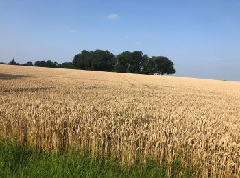 Randonnée Vélo Landen - Wikiloc: Neerlanden-CrasAvernas-Les Waleffes-Rosoux (PVDB) - Photo