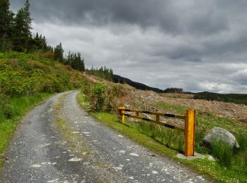 Tour Zu Fuß Westport-Belmullet Municipal District - Lough Aroher Loop - Photo