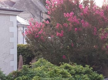 Tocht Stappen Azay-le-Rideau - Azay le rideau  - Photo