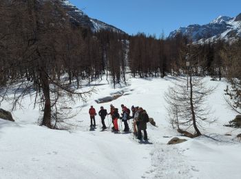 Tocht Sneeuwschoenen Entraunes - la boucharde - Photo