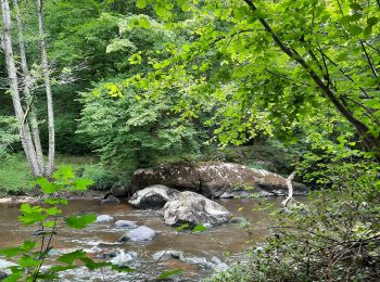 Trail Walking Saint-Junien - sentier Corot - Photo