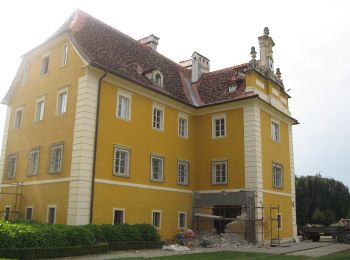 Tocht Te voet Lang - Hengist Kulturwanderweg Lang Dexenbergrunde - Photo