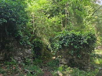 Tocht Stappen Vence - Balade ch de Sine Vence avec Guillaume - Photo