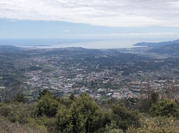 Tocht Stappen Le Bar-sur-Loup - Grasse 11/04 - Photo