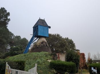 Randonnée Marche Bourgueil - Bourgueil le Picard - GRP Coteaux de Bourgueil - 24.3km 325m 5h25 (45mn) - 2024 10 30 - Photo