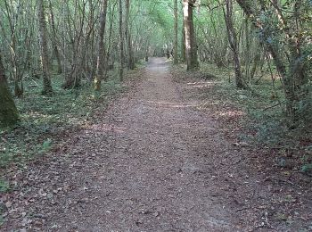 Tour Wandern Valorbiquet - la rando des lavoirs  - Photo