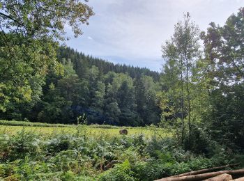 Tocht Stappen Chiny - WandArdRiv 48 Suxy: Barrage de la Vierre (PVDB) - Photo