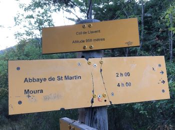 Excursión Senderismo Casteil - 20190904 Casteil-Llevant-Moura- cheval mort-col de Jou - Photo