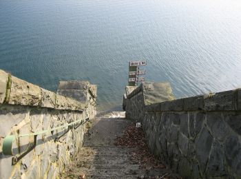 Tocht Te voet Lüdenscheid - Versetalsperre Rundweg A1 - Photo