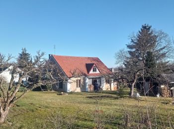 Excursión A pie Přívětice - [Ž] Na Kramářské - Radeč západ - Photo