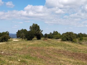 Percorso Marcia Lézignan-Corbières - LEZIGNAN La pinède par les éoliennes - Photo