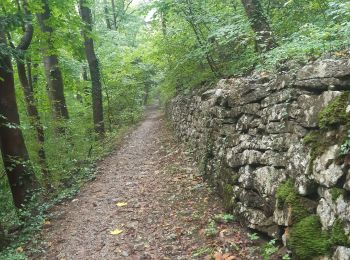 Trail Walking Esneux - esneux eglise . hony . mery . crevecoeur . avionpuits . fontin . le fy . eglise - Photo