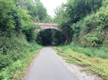 Randonnée Marche Thuin - BE-Thuin - Autour de Thuin - V - Photo