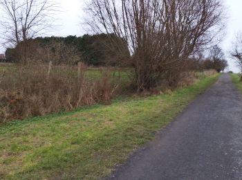 Randonnée Marche Mons-en-Pévèle - Mons en Pevele Tourmignies  - Photo