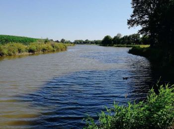 Tour Wandern Sainte-Pazanne - La Beusse - Photo